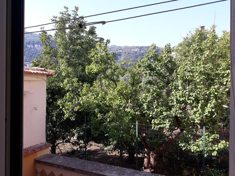 Rita's Flat - Nel Cuore Di *